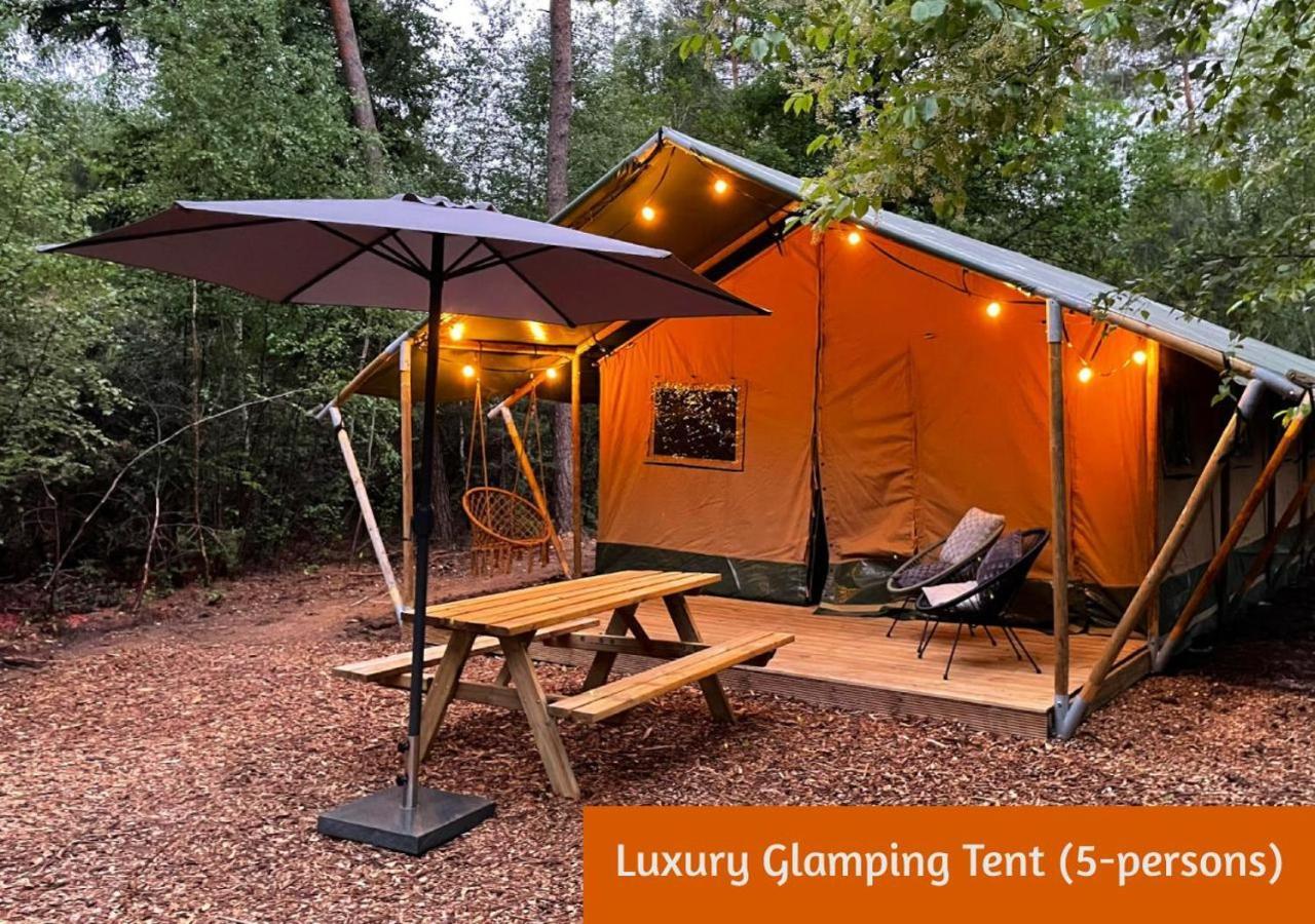 Glamping In Nature By Outdoors Holten Exterior photo